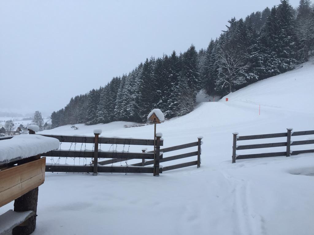 Appartement Hauser Kaibling Haus im Ennstal Buitenkant foto